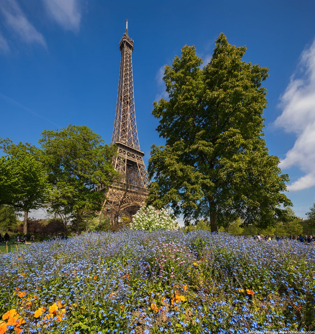 Blue flowers at the Eiffel tower HDRshooter